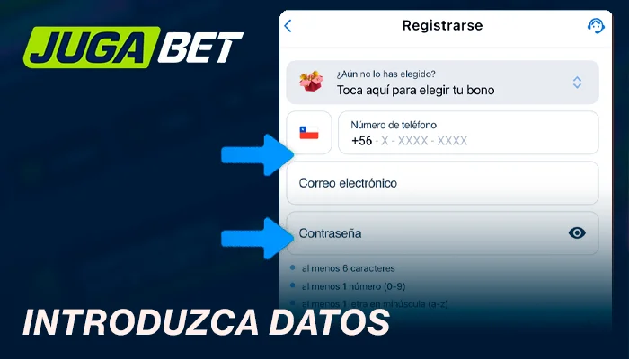 Introduzca datos